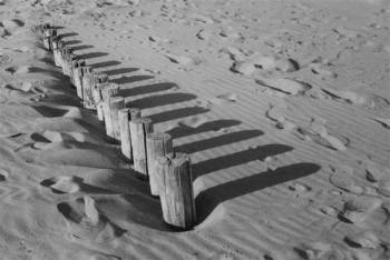pieux sous la dune